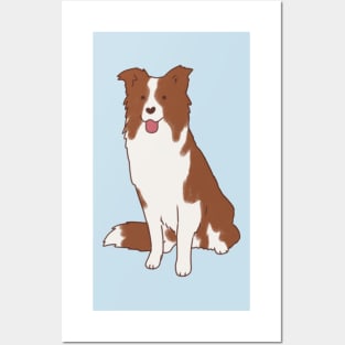 Brown border collie dog Posters and Art